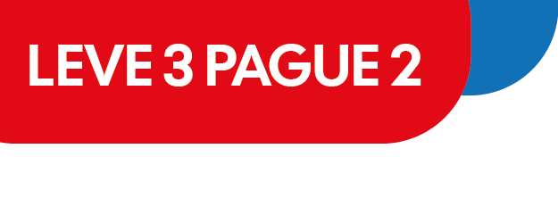 LEVE 3 PAGUE 2