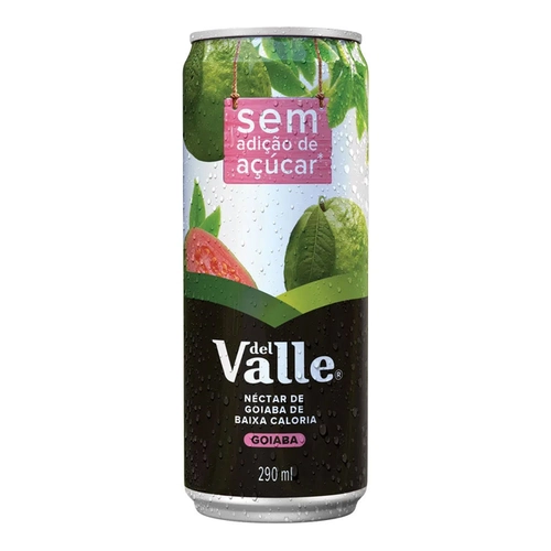 Suco Del Valle Goiaba 290Ml