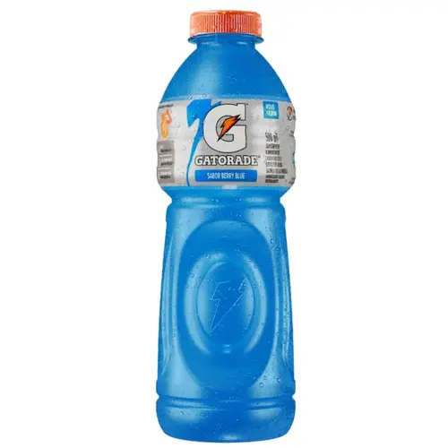 Gatorade Blue Berry 500Ml