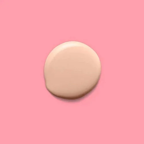 Corretivo Perfect Match Niina Secrets Cor 00 10Ml
